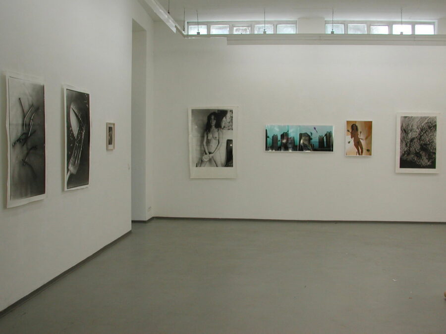 Installationsansicht, Véronique Bourgoin, »Véronique Bourgoin«, 2000