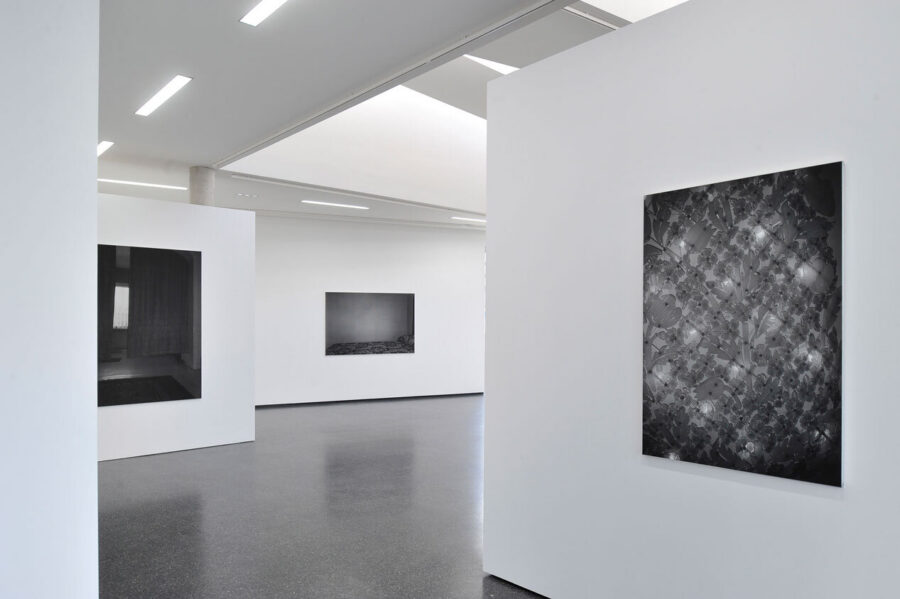 Installationsansicht, Dirk Braeckman, 2012