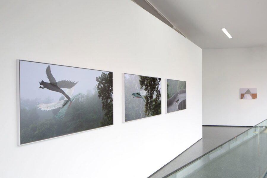 Installationsansicht, Renate Bertlmann, »Angst«, 2017