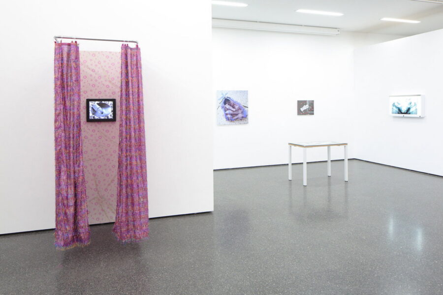 B7A0799Renate_Bertlmann_Salzburg_2017.jpg