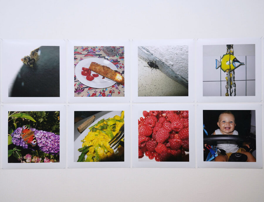 Installationsansicht, Manfred Willmann, »Blitz & Enzianblau und 2018/2017«, 2019