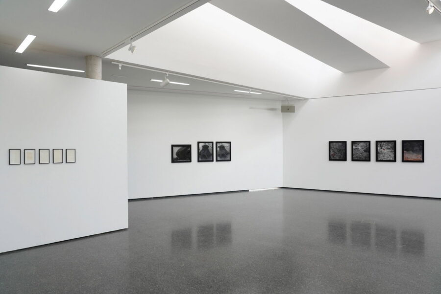 Installationsansicht, Michael Höpfner, 2021, (c) Herman Seidl