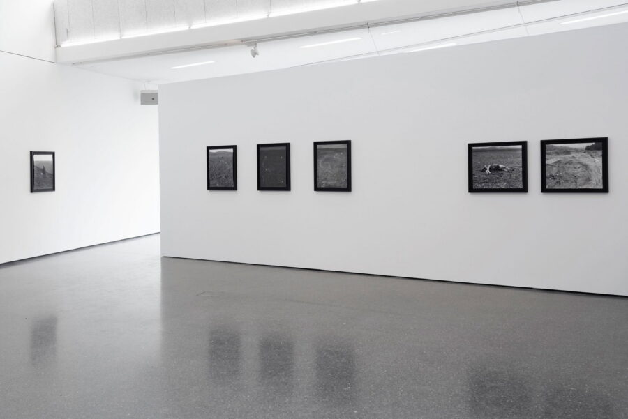 Installationsansicht, Michael Höpfner, 2021, (c) Herman Seidl