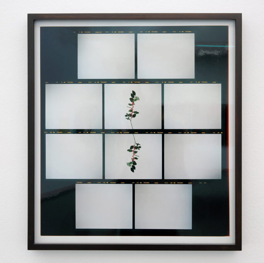 Installationsansicht, Sissi Farassat, 2020, @ Rainer Iglar