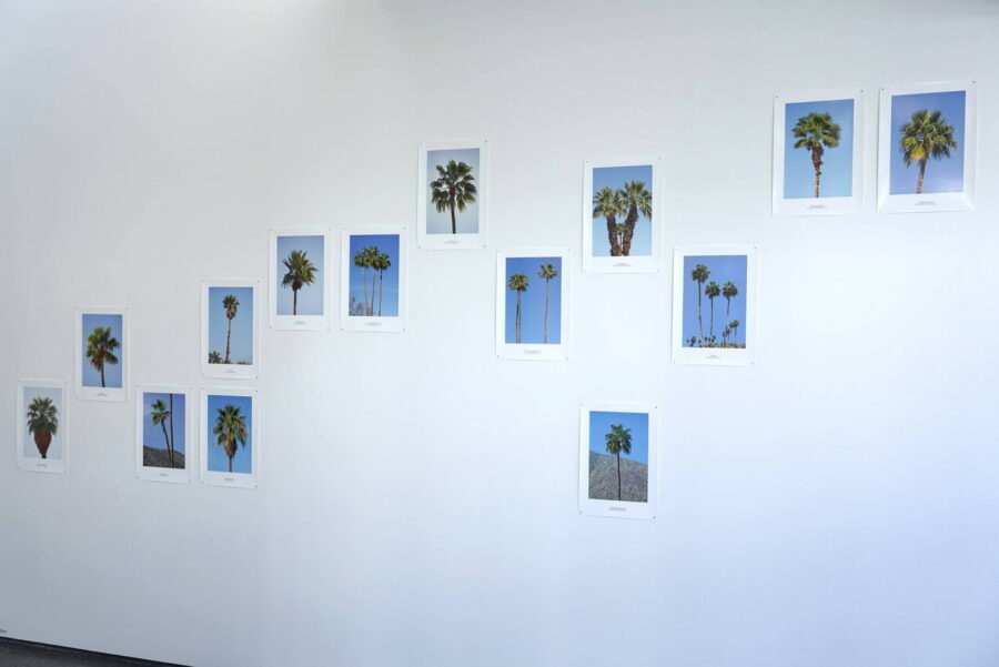 Installationsansicht, Während alle fotografieren können sich manche mit der Fotografie beschäftigen, 2020