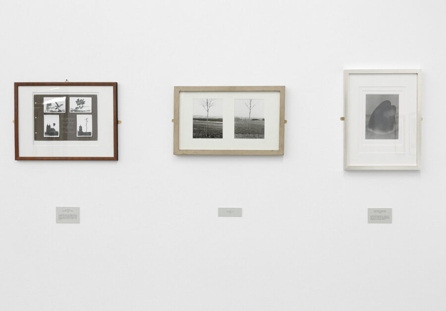 Installationsansicht, Wolfgang Vollmer, 2021, (c) Rainer Iglar