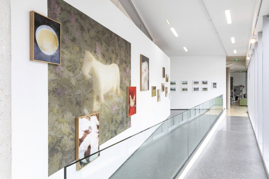 Installationsansicht, SalzburgBilder, 2021, © Andrew Phelps