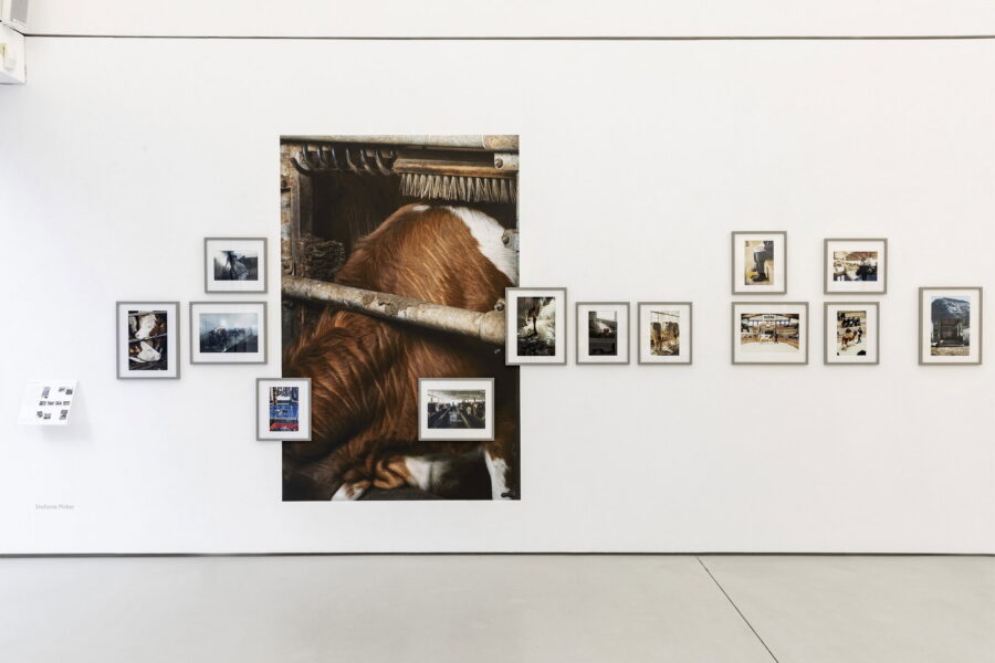 Installationsansicht, SalzburgBilder, 2021, © Andrew Phelps