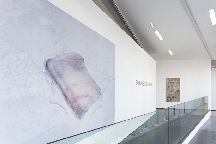 Installationsansicht »Extroverted Images«, 2025