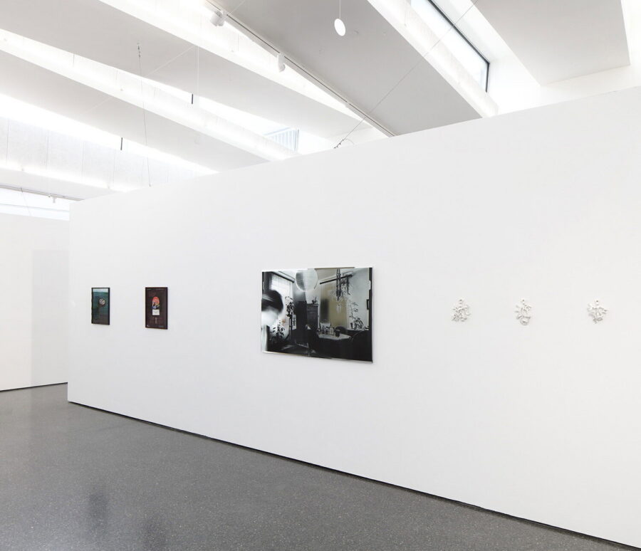 Anaïs_Horn_Fotohof_Salzburg_2025_DSR3354+53