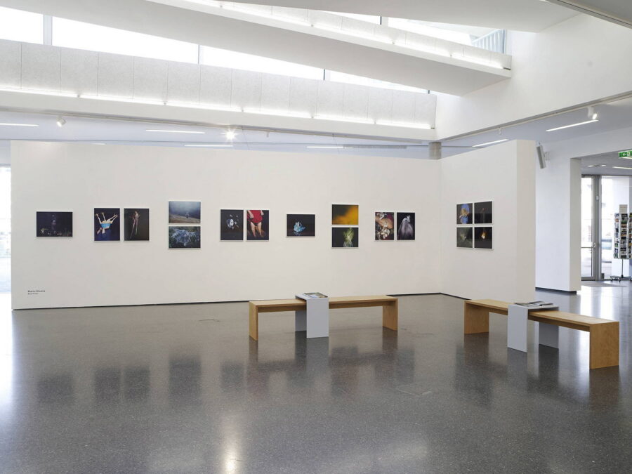 Installationsansicht »Project Groundswell«